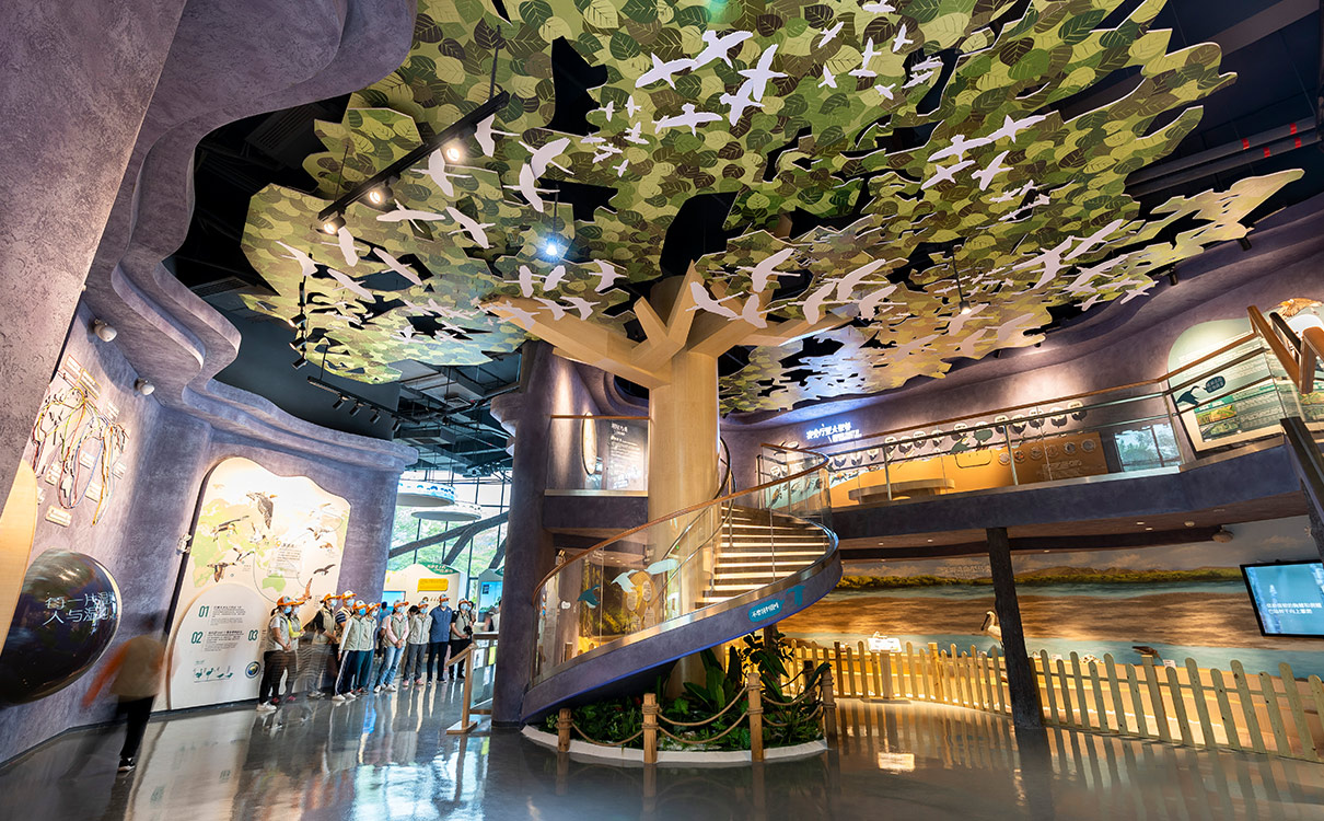 福田区红树林生态公园自然科普馆